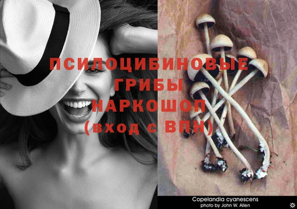 не бодяженный Михайловск