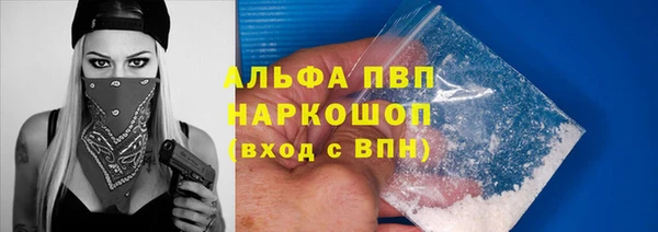 стафф Чекалин