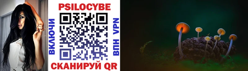 купить   Хабаровск  Галлюциногенные грибы Cubensis 