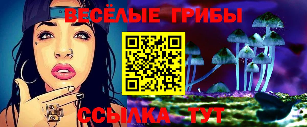 Галлюциногенные грибы MAGIC MUSHROOMS  Вход с VPN  Хабаровск 